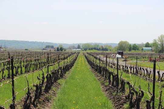 Tour image 6
